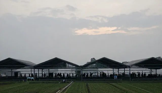 信息咨询套餐性能评估，优化使用与维护建议